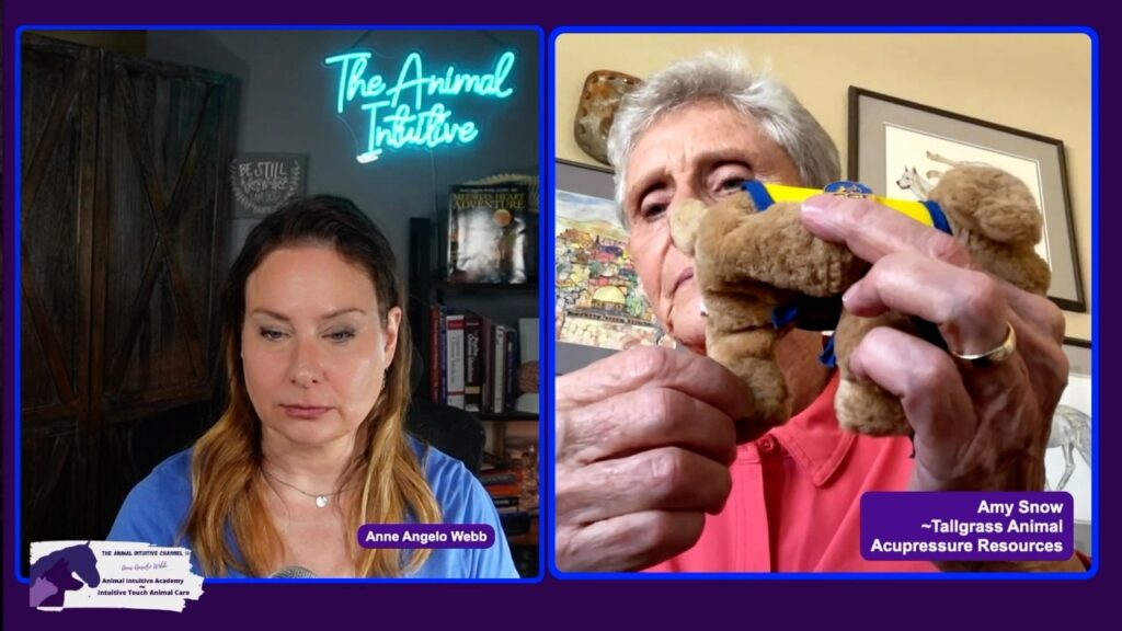 Tallgrass Amy Snow and Anne Angelo Webb Show LIV 2 acupressure point on dog
